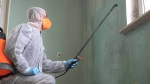 Asbestos and Lead Testing During Mold Inspection