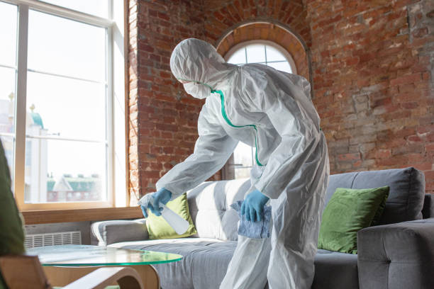 Why You Should Choose Our Mold Remediation Services in Bridgetown, MS